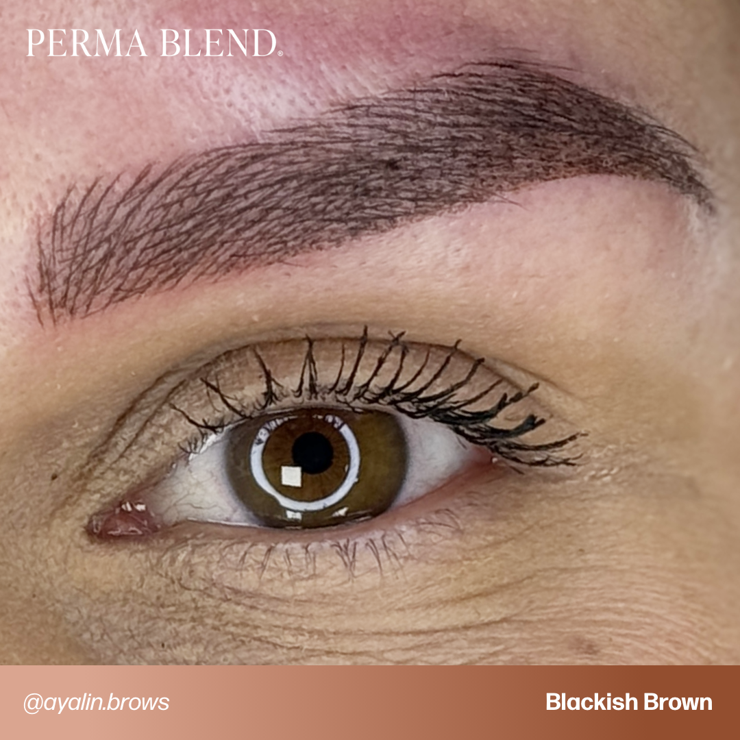 Perma Blend Blackish Brown – 1/2oz