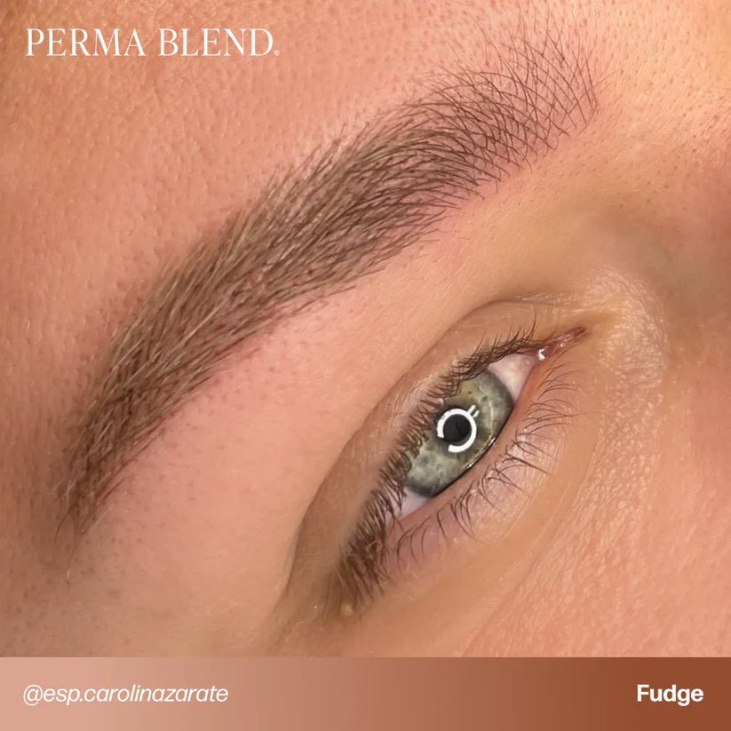 Close-up of an eye with brown eyebrow, labeled 'PERMA BLEND' by Fudge.