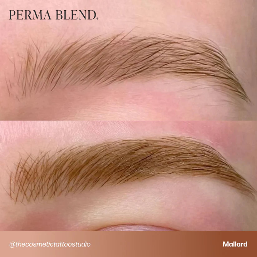 Comparison of two eyebrow styles labeled 'Perma Blend' with 'Mallard' color on a close-up of skin.