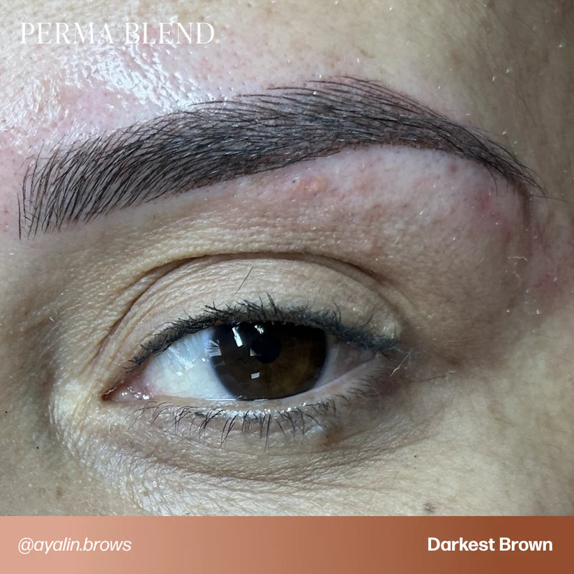 Perma Blend Darkest Brown – Brow Pigment 1/2oz
