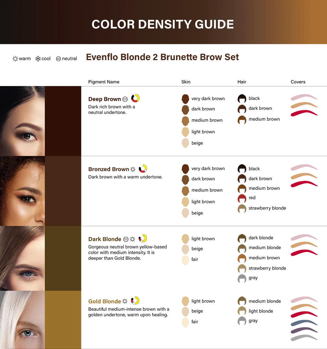 Color density guide for Evenflo Blonde 2 Brunette Brow Set with skin and hair color coverage chart.